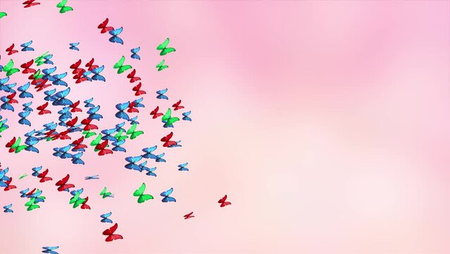 Beautiful spring and summer design animation with butterflies on light pink background. green screen. nature, insects, tropics, summer, surprise, holiday, kid and other special events.