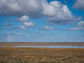 Fototapeta na wymiar View across the expansive salt marshes to small derelict house in the distance under blue sky and billowing white clouds, Blakeney National Nature Reserve, Norfolk, UK