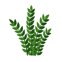 Houseplant zamioculcas for interior decoration. Vector illustration of home flowers. Trendy home decor with plants, urban jungle.