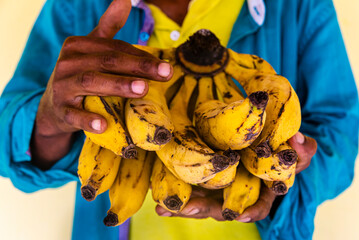 banana da terra