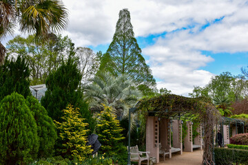Trees around a park's garden archway
