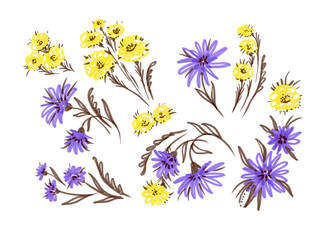 Fototapeta na wymiar Set felt pen yellow and violet isolated cornflowers. Colorful flower with brown leave on white background. Provence multicolor marker illustration. Summer multicolor flower with leave for wedding