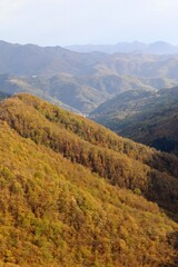 Fototapeta premium autumn in the mountains
