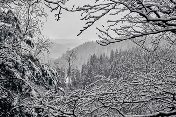 Winter mountain landscape in the Carpathians, Ukraine.