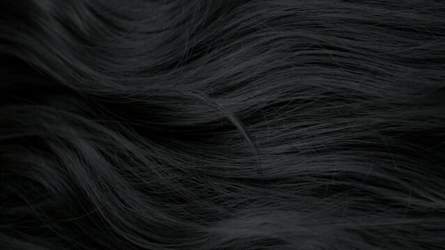Super Slow Motion Shot of Waving Black Hair at 1000 fps.