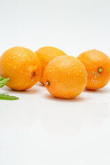 Fresh Citrus Fruit. Lemon, Orange, Mandarin, Grapefruit on Solid White Colored Background.