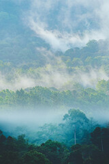 vertical banner background of tropical forest landscape scene for using in concept of environmental...