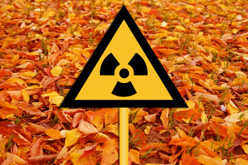 Red Forest, yellow sign warning the nuclear risk in Chernobyl area in Ukraine, message about the...