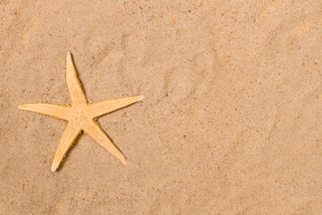 Fototapeta na wymiar Estrella de mar sobre un fondo de arena. Vista superior y de cerca. Copy space. Concepto: Viaje, vacaciones