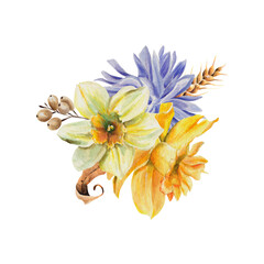 Watercolor bouquet of daffodil, cornflower, sunflower. Vivid spring, summer botanical arrangement. For wedding invites, posters,greeting cards, stationery, packaging, logo, postcards, festive decor 