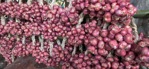 The Shallot onionswere tied together in small groups, hung on bamboo rods and some were placed on a wooden table. It is classified as a popular Thai herb used in cooking. (Allium ascalonicum L.)
