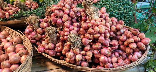 Shallots (Allium ascalonicum L.) are bunched together in small groups and placed in bamboo baskets and placed on a wooden table. Classified as a popular Thai herb used in cooking is herbal medicine
