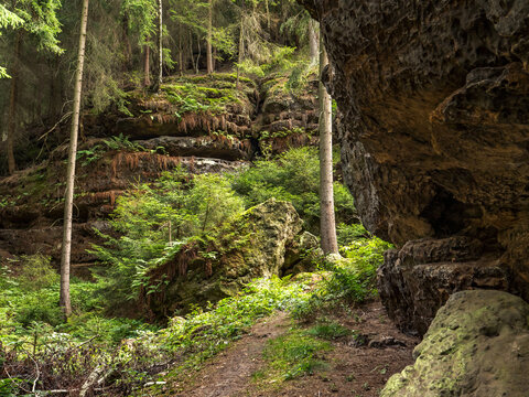 Katzstein in der S&auml;chsischen Schweiz - Felsblock im Wald
