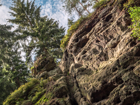 Katzstein in der S&auml;chsischen Schweiz - Felswand im Wald