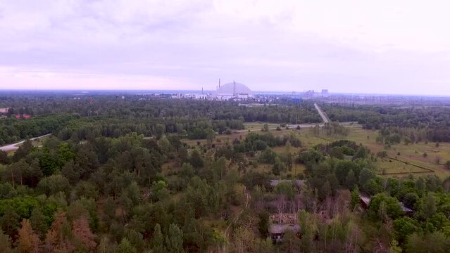 Aerial view. Radioactive red forest near the Chernobyl nuclear power plant