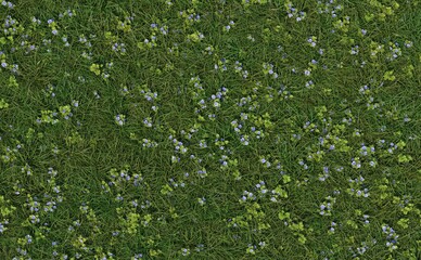 Top view of the meadow full of veronica flowers. 3D illustration