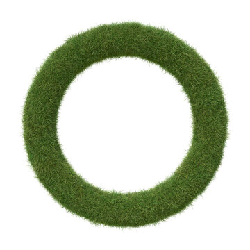 Circle shape frame made of grass, isolated on white. 3D image