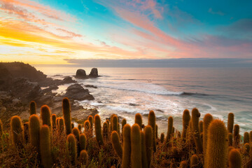 Cliff in Punta de Lobos at Pichilemu, VI Region, Chile