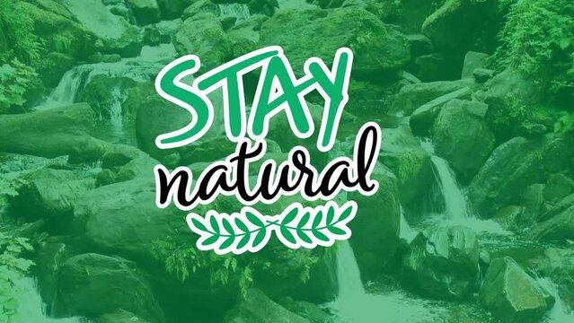 Animation of stay natural text over rocks in forest