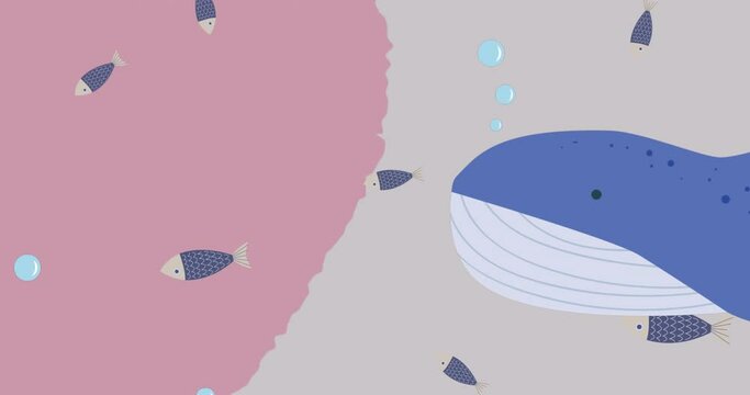 Animation of fishes and whale on pink background