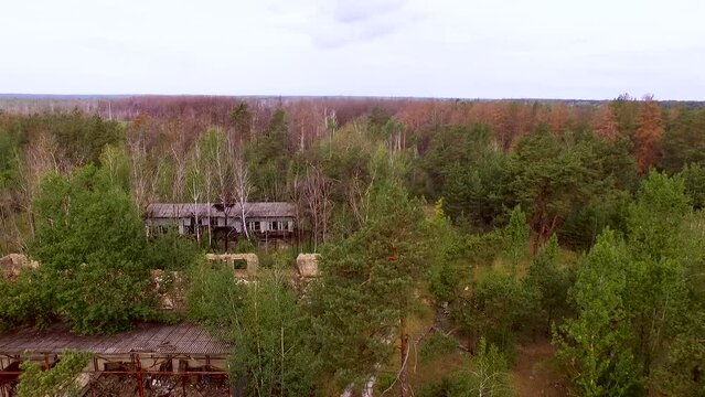 Aerial view. Chernobyl red forest. The most radioactive contamination zone