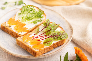 White bread sandwiches with cream cheese, calendula petals and microgreen on gray. side view, selective focus.