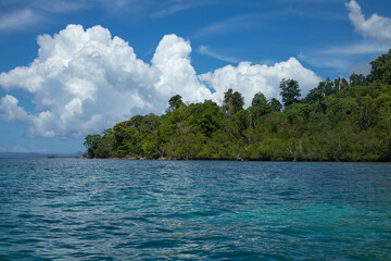 Landscape of a tropical island in the Raja Ampat Islands, West Papua, covered with jungle and green...
