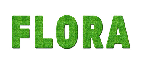 Fototapeta premium Text aus Gras Flora