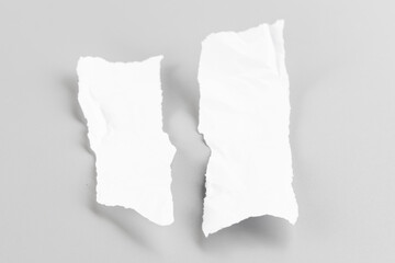 White torn paper on gray background. collection paper rip.