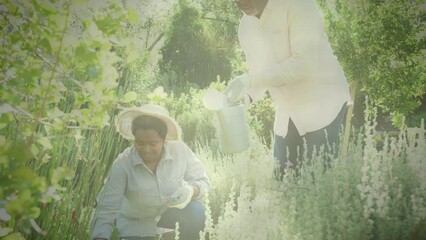Video of blue lights over biracial man and woman working in the garden