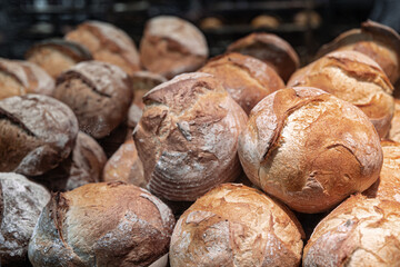 Large loaves of bread on the counter of a bakery.