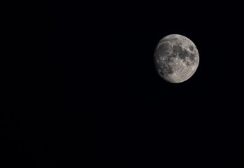 New moon in the night