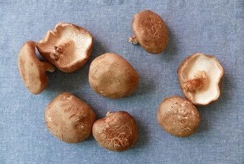 Shiitake mushrooms on linen cloth