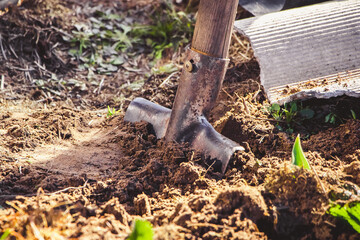 Digging up earth with hand shovel. Gardening and planting seeds in spring. Rural life, farming.