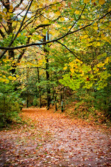 Fototapeta premium Geres Thermal Park in north of Portugal