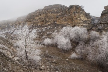 snow covered rocks