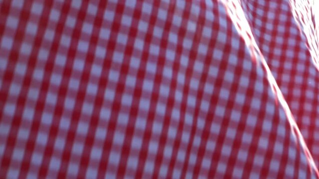 Woman preparing a picnic with red gingham cover 