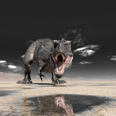 tyrannosaurus rex is drinking water on desert