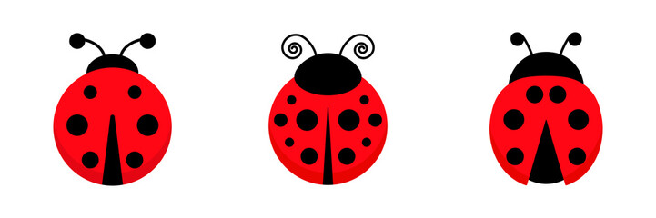 Ladybug cute character set. Three little red ladybird. Vector isolated on white.