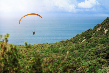 The paraglider flies over the sea against the background of green trees. The background is in defocus.