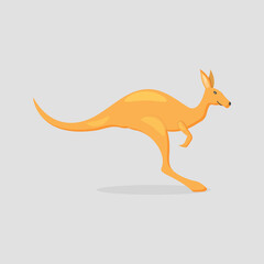 Cute Kangaroo Animal