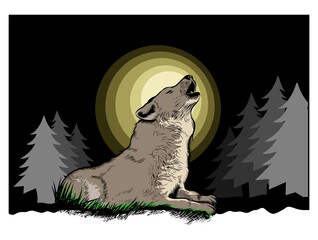 a wolf that roars on a full moon night illustrations