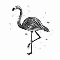 Flamingo. Black and white, graphic, hand-drawn portrait of a cute flamingo on a white background with blots. Wall stickers.	
