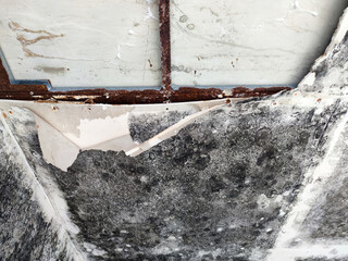 black mold on crumbling plasterboard ceiling close up