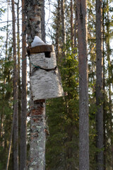A Raw Wood Birdhouse