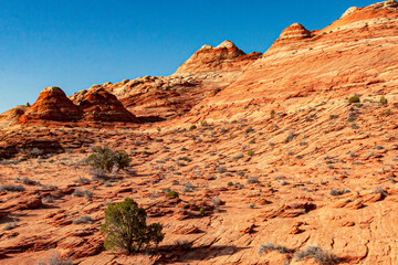 The landscape of the Vermilion Cliffs Wilderness