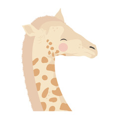 cute giraffe animal head