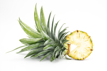 pineapple slice with leaves isolate on white.