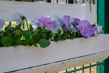 some pansies were planted in a homemade wooden flower box