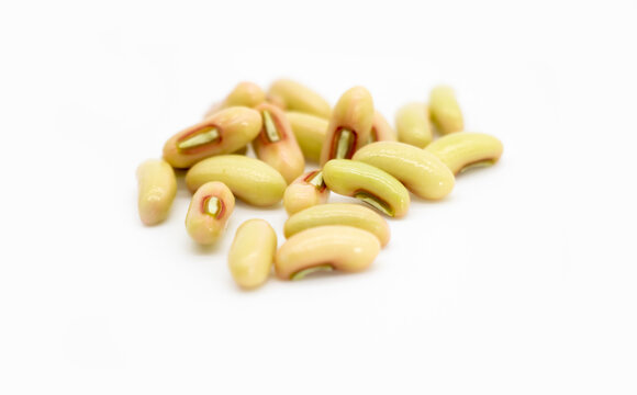 Yard Long Bean seed on white